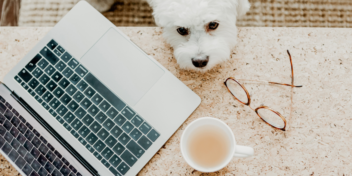 white dog next to a laptop and cup of tea