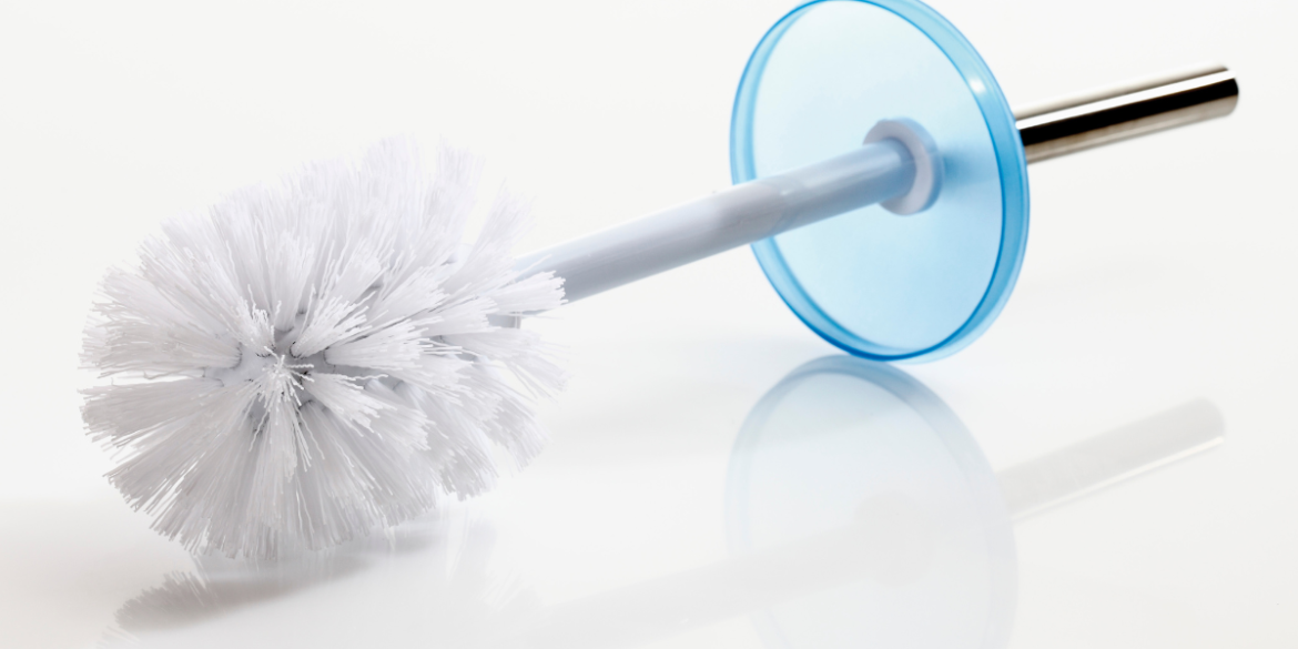 a clean toilet brush