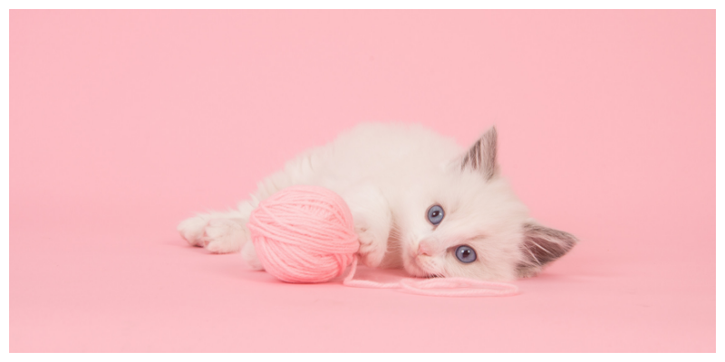 kitten pink background with ball of pink wool