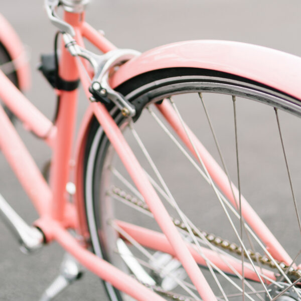 pink ladies bike