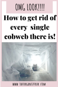 get rid of cobwebs 