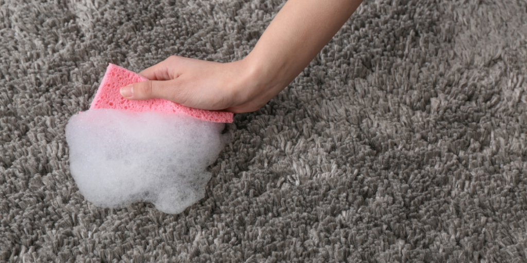 cleaning carpet smells with a sponge