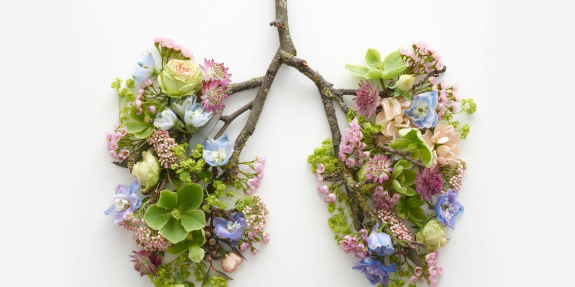 lungs made from fresh flowers and twigs