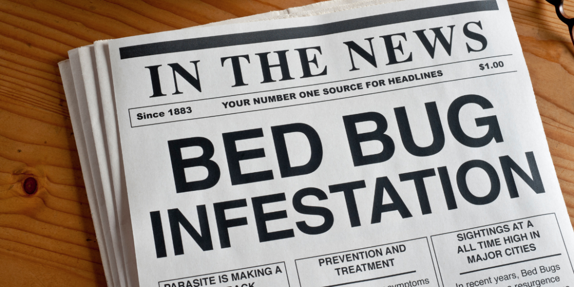 newspaper headlines about bed bug infestation