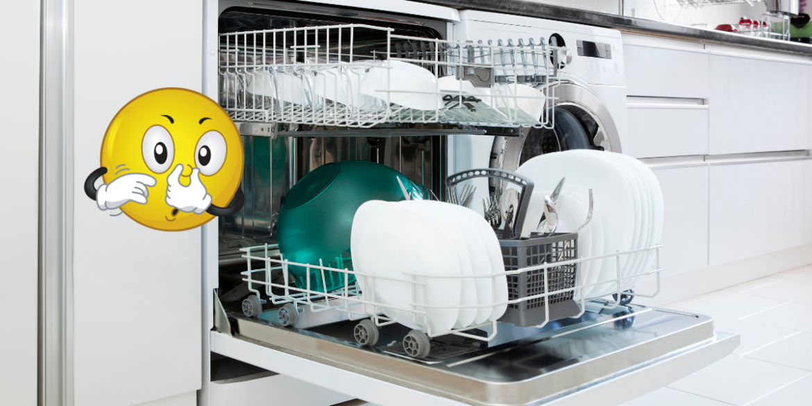 dishwasher that smell of rotten eggs with holding nose emoji