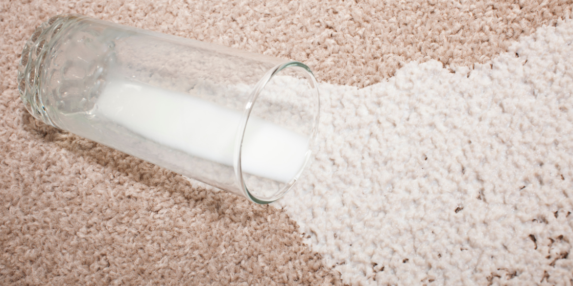 glass of milk spilled on carpet