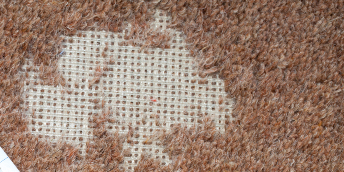 carpet moth damage on a carpet resulting in a thread bare patch 